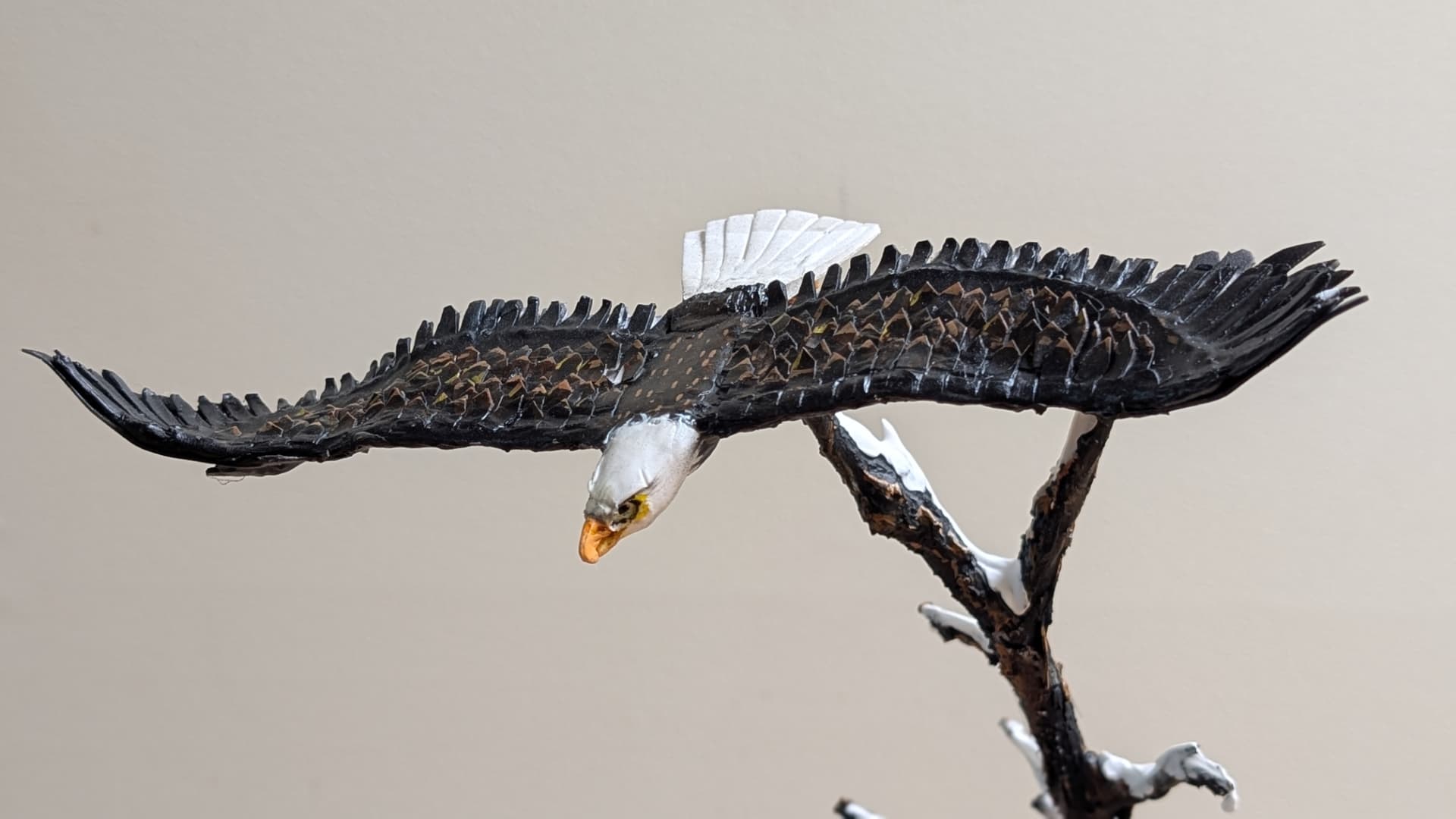 Detail — wing structure and feathering